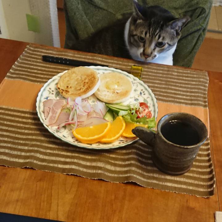 91aea648 1c57 44b3 86ea f14f1e77c74e 1583543542677