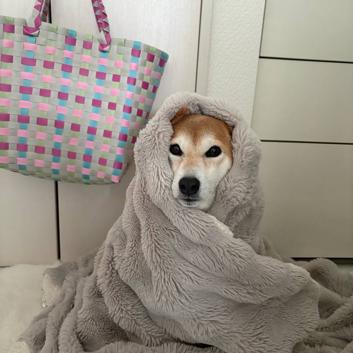 91aeb44b 2e48 4ab3 896f 0164c90a0fb8 1770957018341