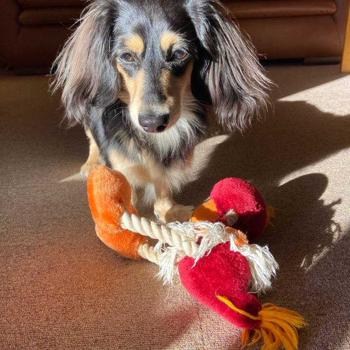 91af392f 2c33 486e b020 3dfd09d437a4 1705016022022