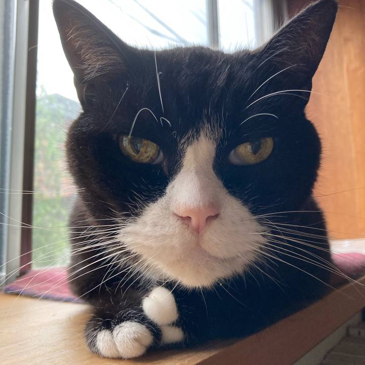 91af8f44 3a07 4838 b678 b0b03ed936bb 1633736862549