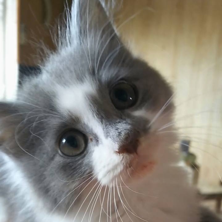 91afb41b 7044 4af0 8467 c9170692c72f 1561348799559