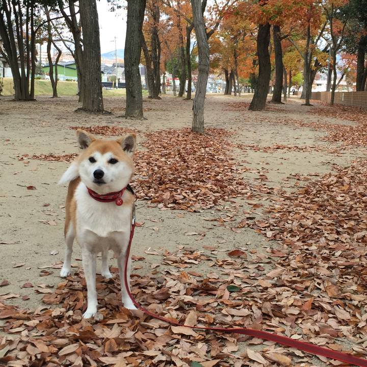 91afb73f 5081 48d3 b89f f4d70da1c1da 1512196424519