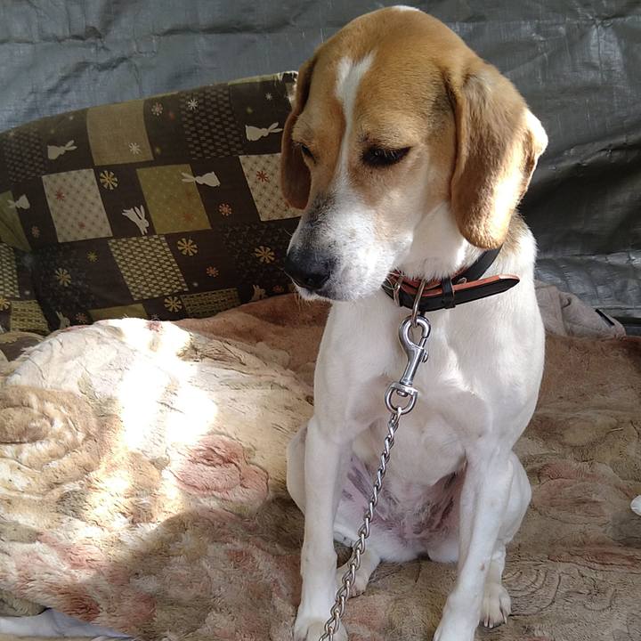 91afbd88 7b21 4db5 a52e c5e80ec4e2d9 1653127527929