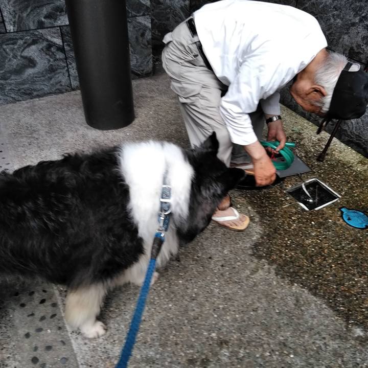 91afeb0e 302c 4480 910d 8b857253f713 1537187724223