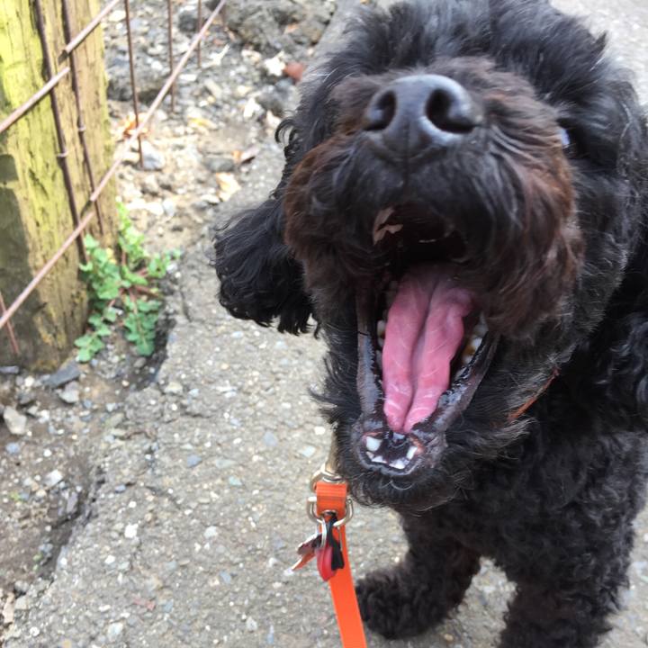 91aff8a0 74d5 4eca 8929 5874c85c1d61 1522148898098