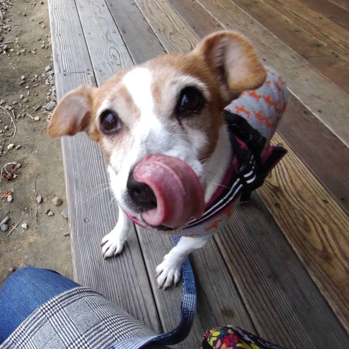 91b00365 9893 4752 a905 32a3c7885385 1767141211995