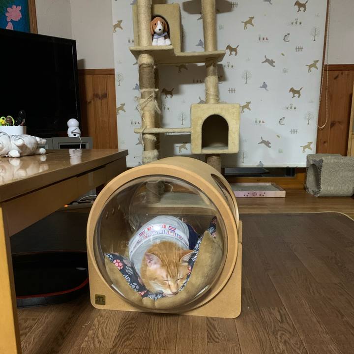 91b02041 056f 4c9b bee0 2ed702fcc428 1617361951801