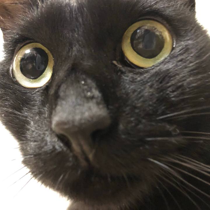 91b03004 3903 4439 bd47 77647eac3d1e 1605967971839