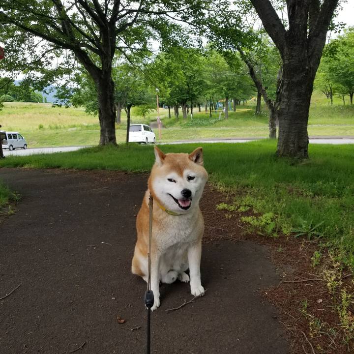 91b035ae 3b91 4e50 9ab0 db20b54f6531 1685257441238