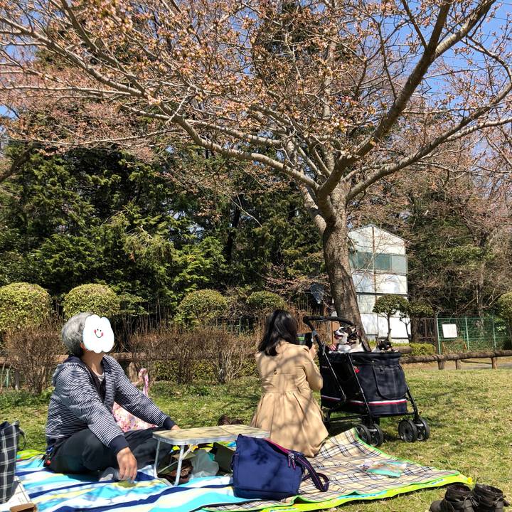 91b0487e 6554 4255 a8db 64967603877d 1521947213822