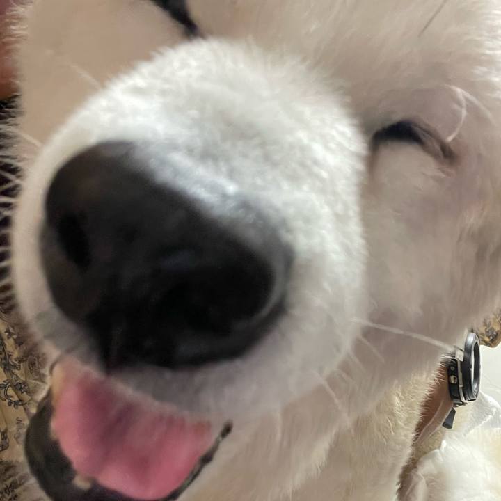 91b04a41 2648 48f2 af0f 76aa905879ef 1762927829108