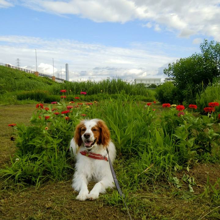 91b05126 d92d 4293 a0c4 f6bd50691f8d 1562413078569