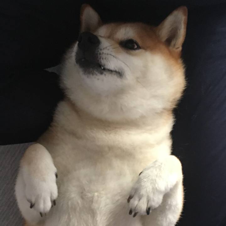 91b07c1c ec0b 4f03 9e92 15ab5cd530d7 1595557664191