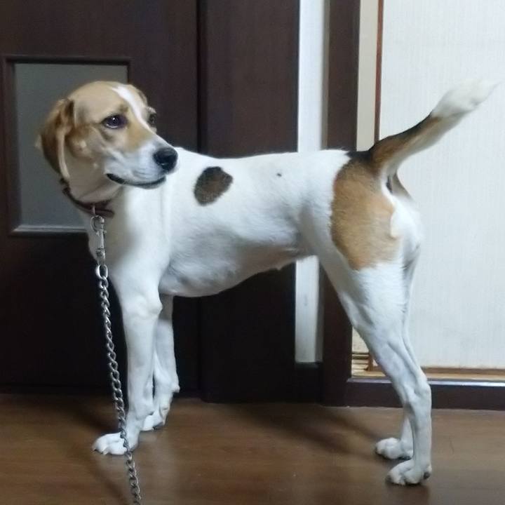 91b0959f e2d5 476b 8ae7 a6b6f8fc37e2 1598506535793