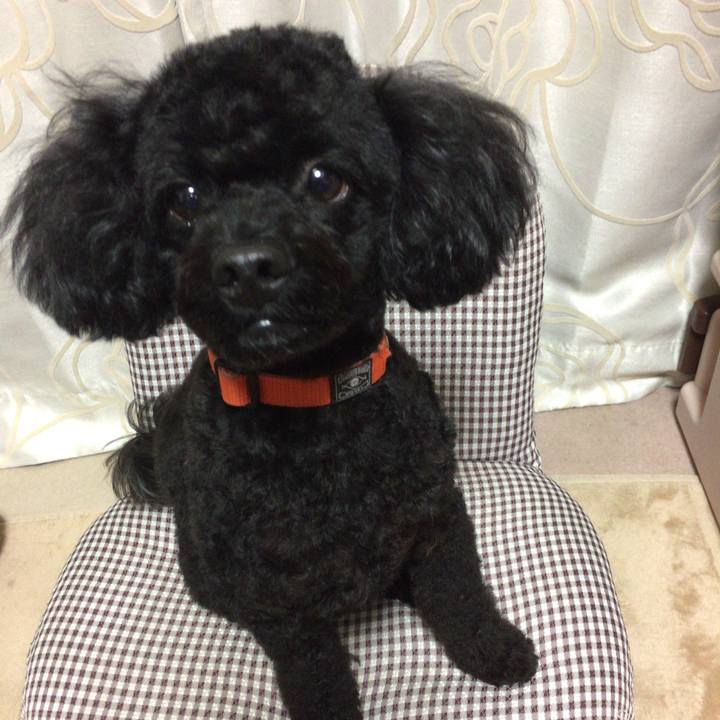 91b097b6 8713 4056 a9a0 8ba80f8be9d5 1510215998458