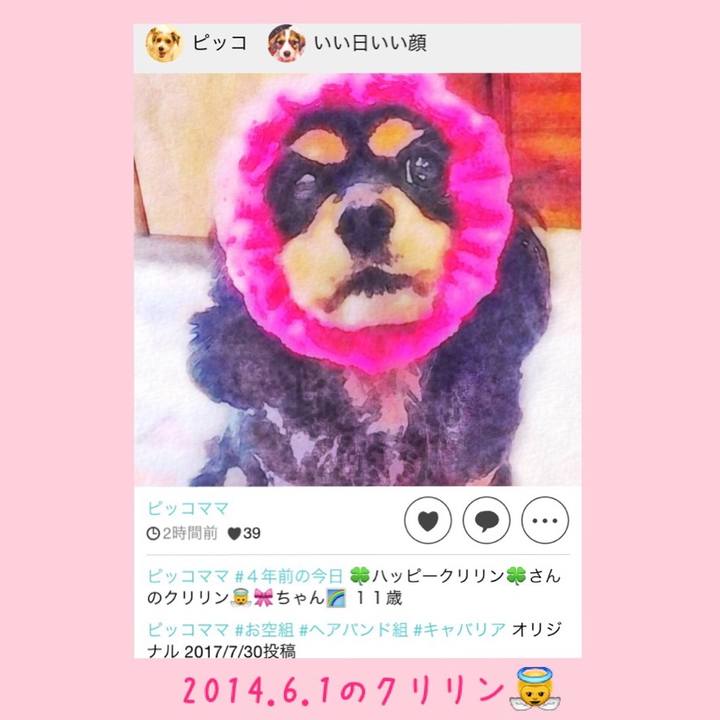 91b09d5f 1165 4aff b694 7c0cd36a4645 1527810473842