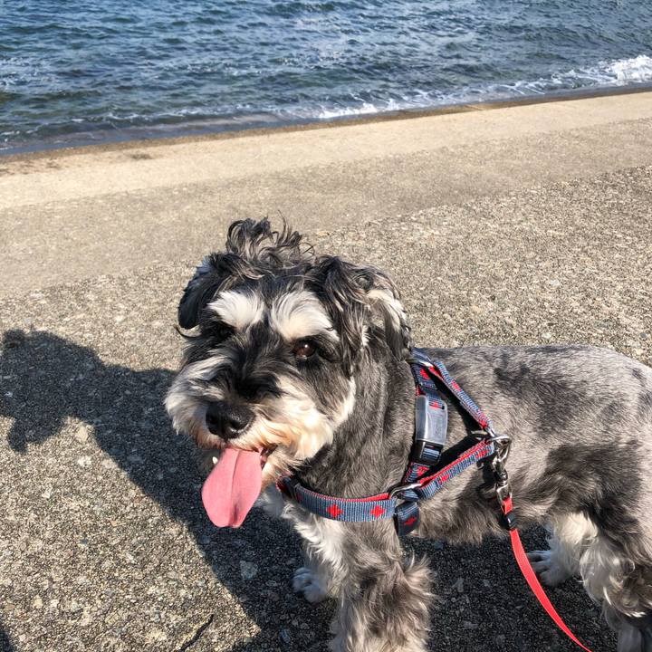 91b0a739 a299 4e65 b772 a85e87170fb6 1633142416264