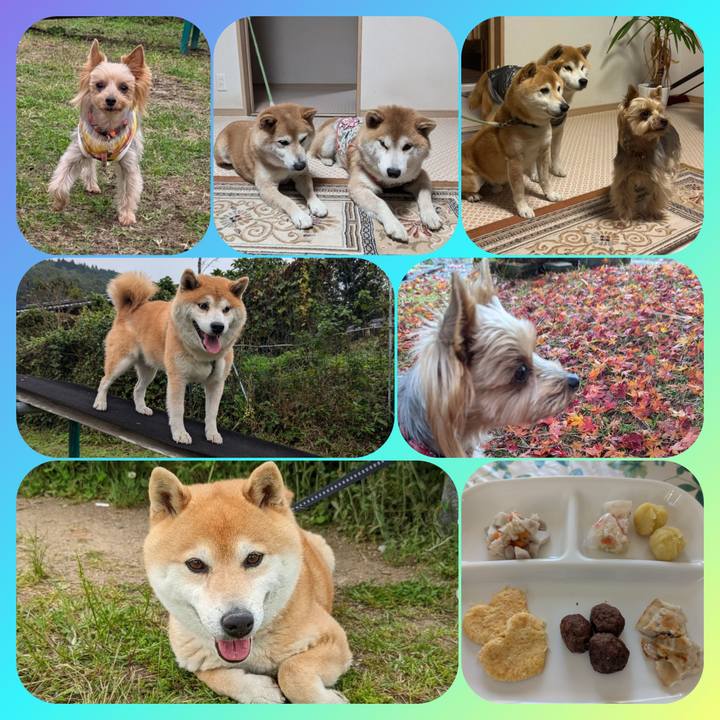 91b0aa8e 5a4d 43e4 a145 34713cf2e03a 1735813268406