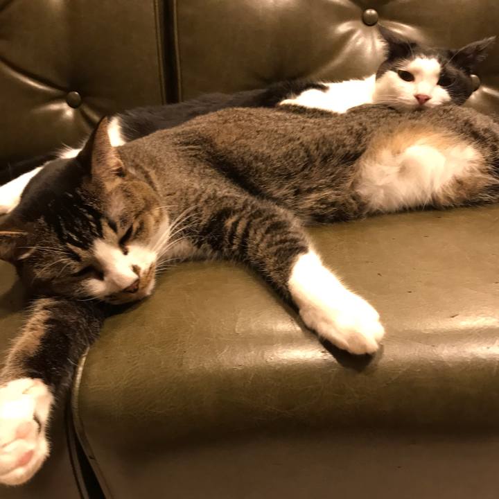 91b0ab3f 580c 470b 9633 76d235be8310 1533820889628