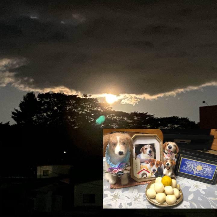 91b0c297 fd6e 401f a99b 97075d87ed4b 1601545178880