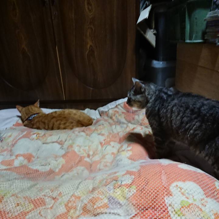 91b10d59 871a 41c9 9e8d b418ff24a53f 1570796603895