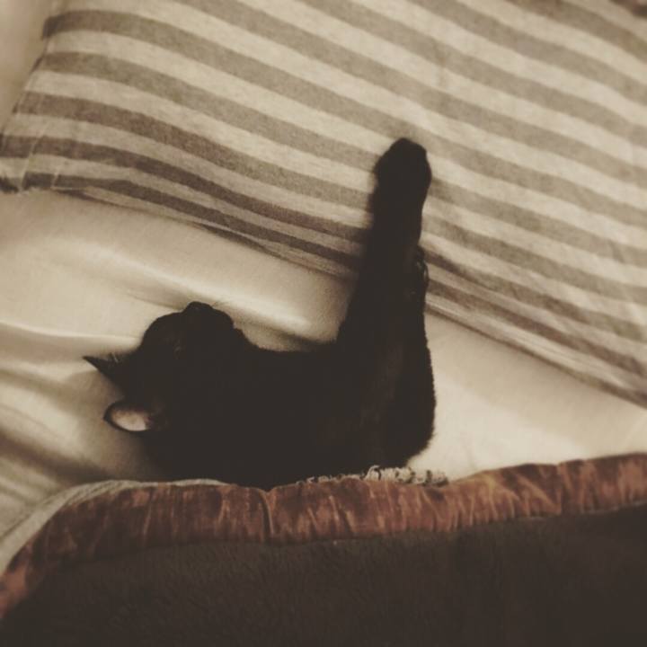 91b116c1 e6fa 4783 8d82 fb7294aa80ca 1522451225486