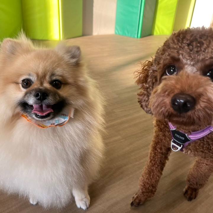 91b12449 7094 4d3c 923a cf2d5501c091 1698921134094