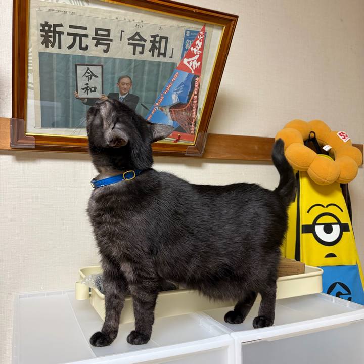 91b13bef 6737 42cc ae81 b98ea9872125 1770564219210