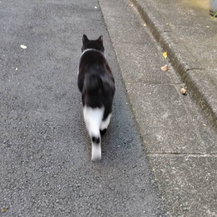 91b1722f af78 435c 8436 ee4393a43746 1702769607895