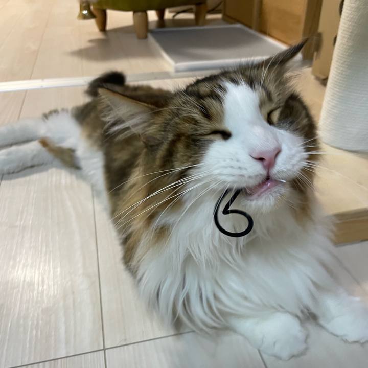 91b1837e d360 4a35 81ca e8fc6320545d 1694461314779