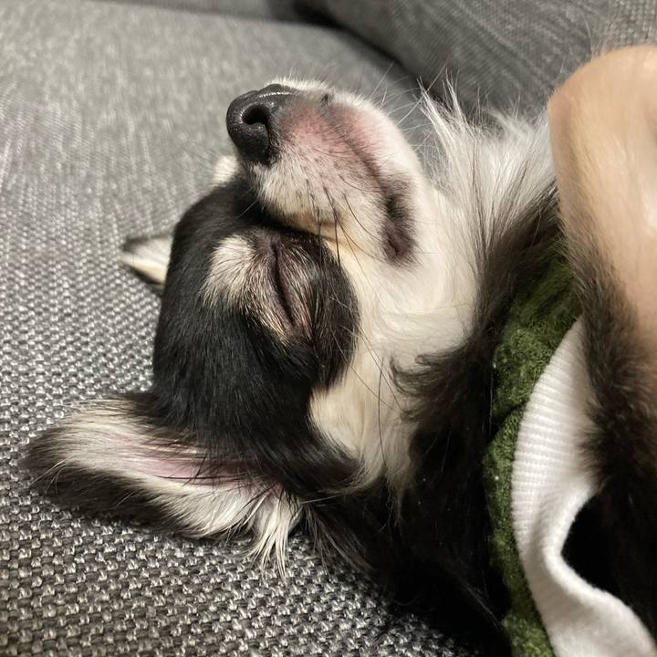 91b18478 6f5a 4784 bbe5 023d6caea584 1609768249753