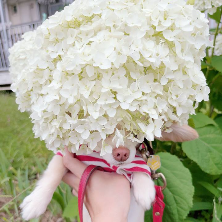 91b1a80a f9af 4f2d bc7b b9f92ab3a759 1686039236842