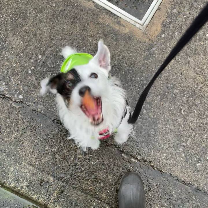 91b1e7d7 8649 4e44 bdf6 62eff356f0ee 1684831578315