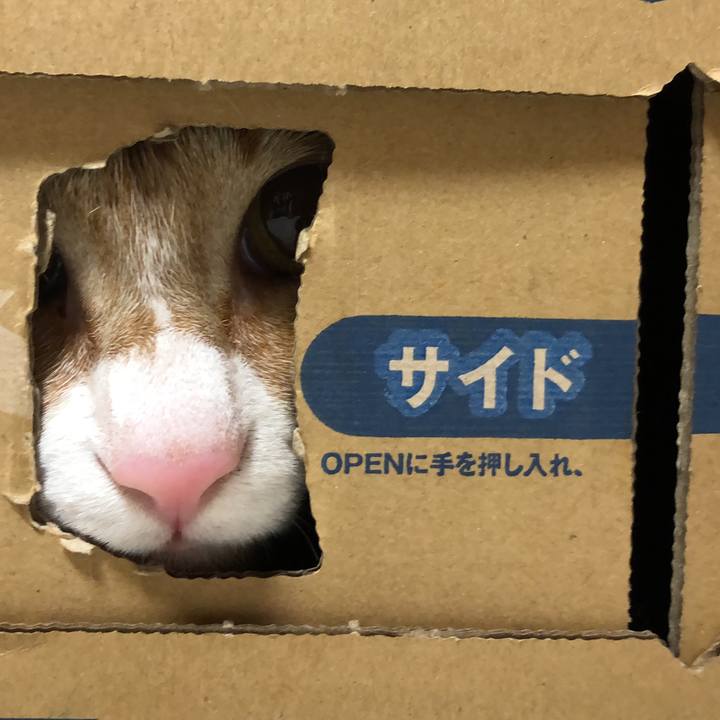 91b1e8db 32fb 40e5 bbe9 5c3a47711455 1587079713370