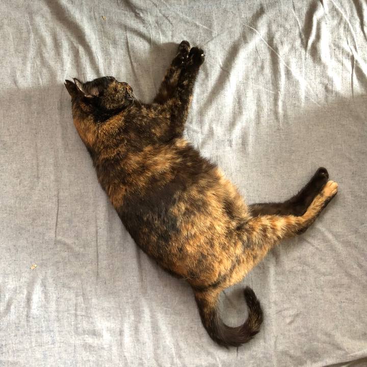 91b23126 e843 45cc 90b4 7af81c3eab2c 1688514093480