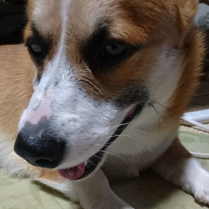 91b2b008 2ee7 4cac 8f03 c2ed62c0fa93 1572149665801