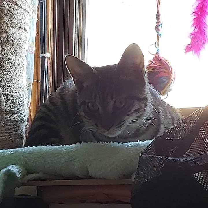 91b2c9ca 4759 45cc b8a7 61cb367c68aa 1542941857753