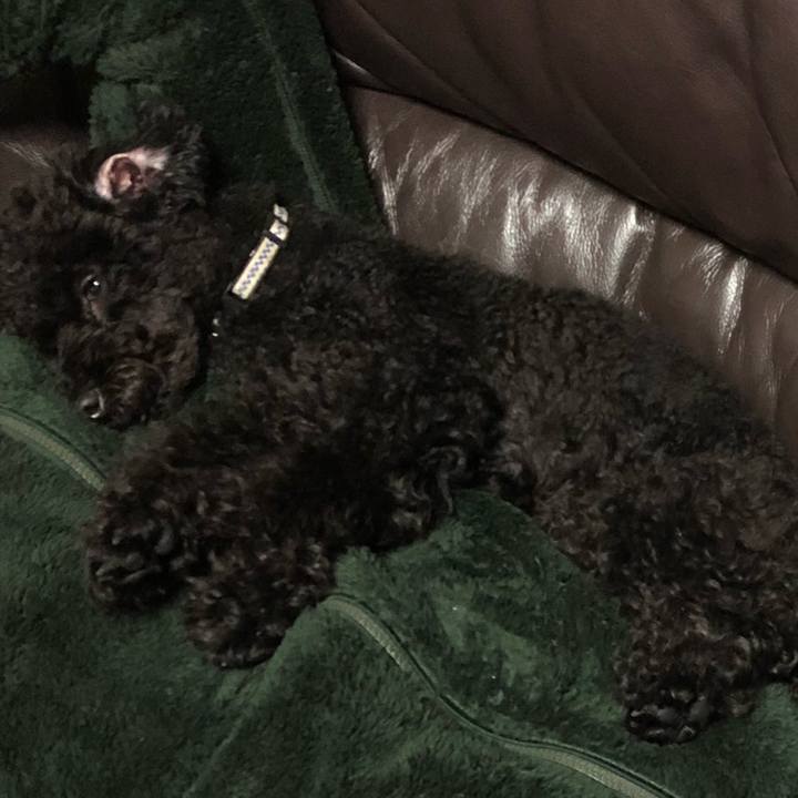 91b2ccab 6d02 4f8f 99b2 9629f3f95034 1544534007112