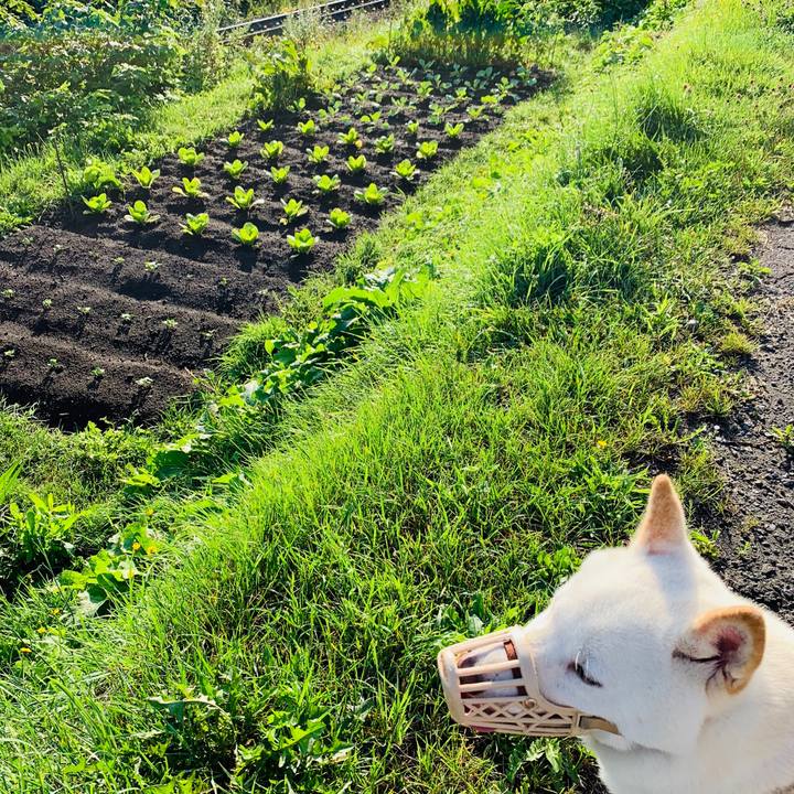 91b2f433 00ec 4d35 a403 dce04bacb0be 1566427365374