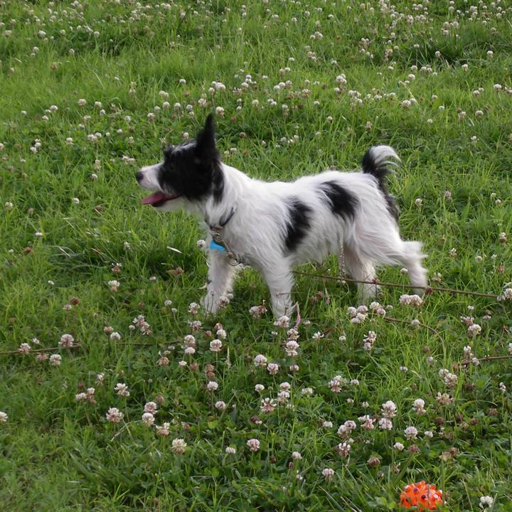 91b2f9fa 3ce0 427e a244 78c83ba2b38b 1686473983223