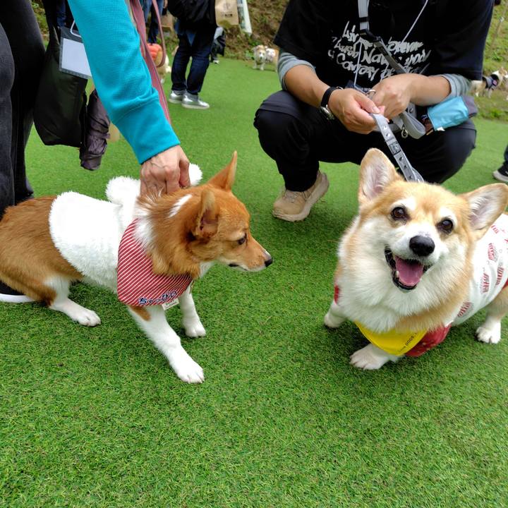 91b30629 db9b 4f16 86aa 80b70be430cc 1759927650456