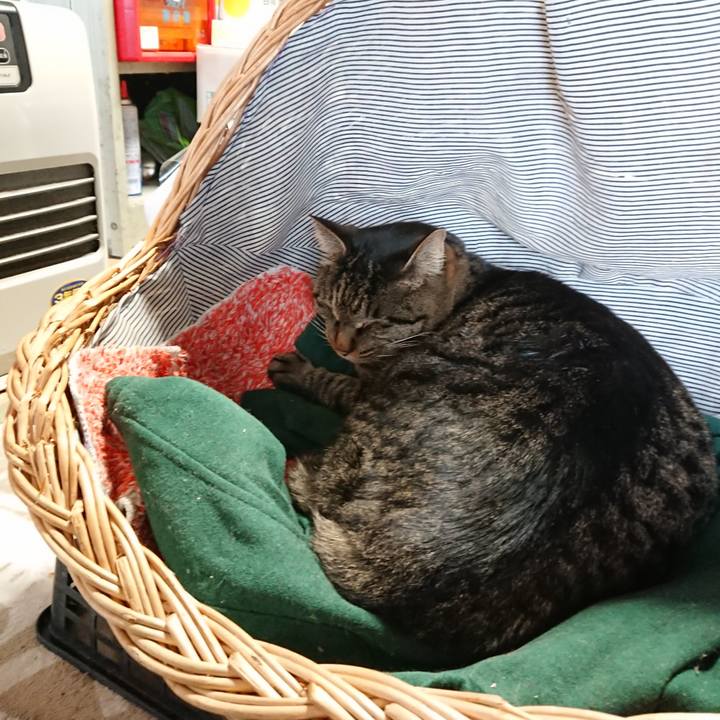 91b30f29 d83e 4ace 818d e6574e461425 1640929179375