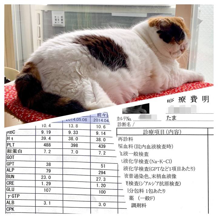 91b350f8 2fb8 4815 b0df 882bdb9674c1 1566561627625