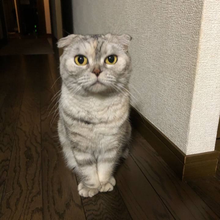 91b3606d aa24 4a9f 9bf3 03f6cd0a20e3 1578056345463