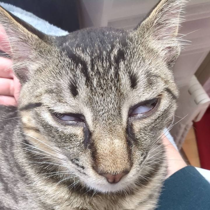 91b39df1 be3e 484b 9bbc 0351d2226fc6 1707192446429