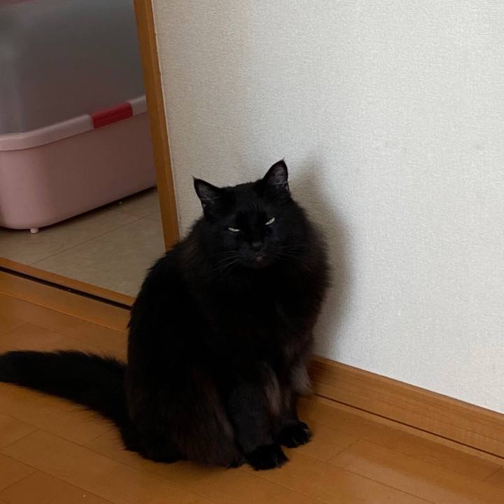 91b3f937 3fa4 480e aede eeab2e0be402 1583460465892