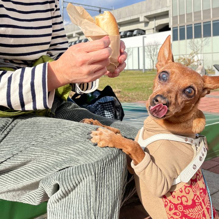 91b3fbff abee 4afc 979b 912e618c6e9f 1700826138101