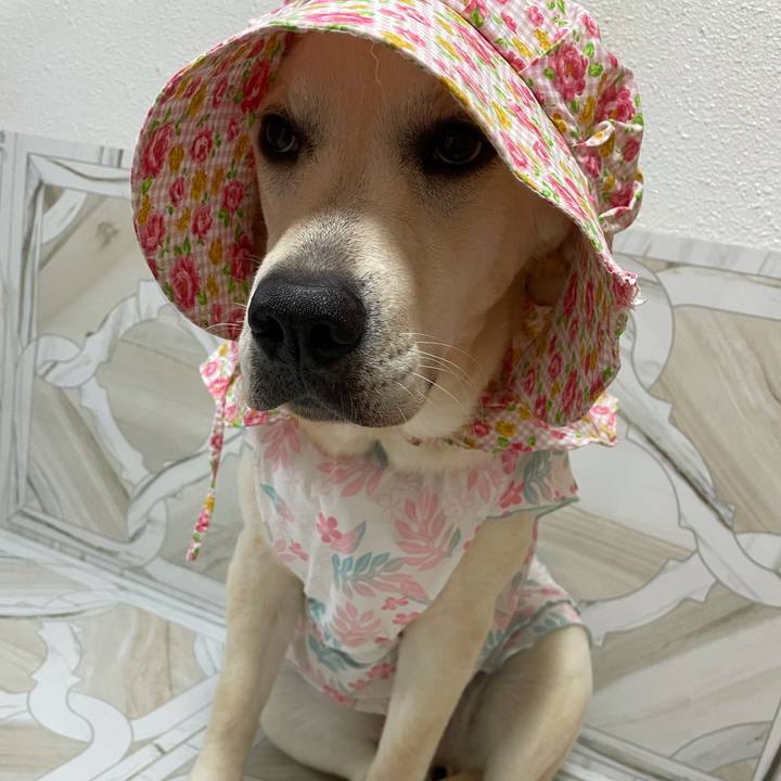 91b40d9f 6d73 4e19 af44 cb8d0e93a9d5 1627039973688