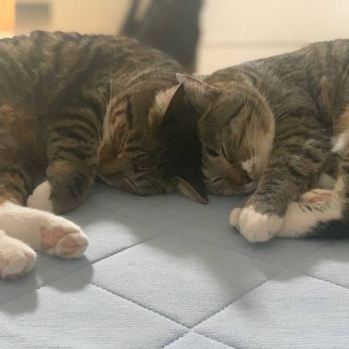 91b42a09 ea37 45eb 89a5 043325532471 1599487481408