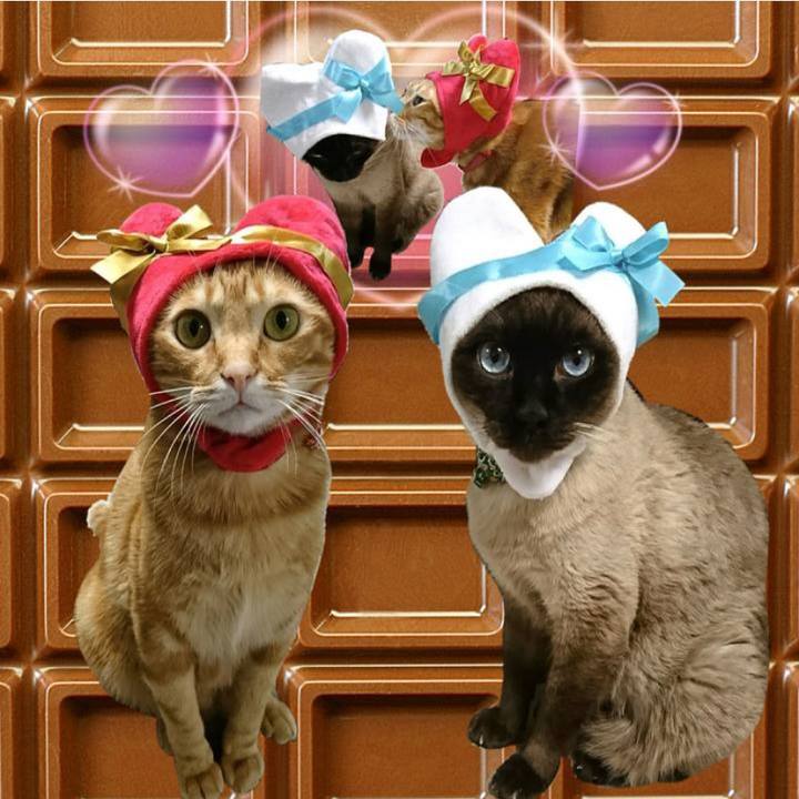 91b48240 fd43 4cd8 a429 ca9b1235e67d 1581628110866